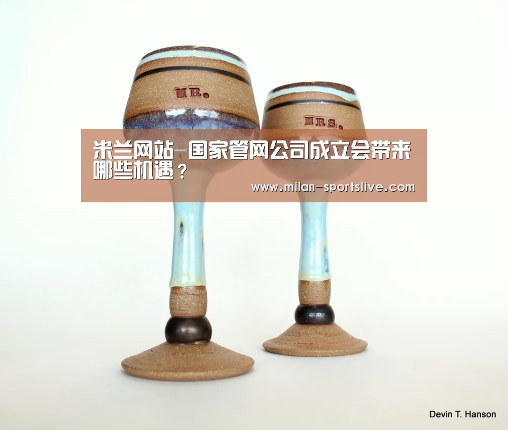 米兰网站-国家管网公司成立会带来哪些机遇?(图3) 米兰直播
