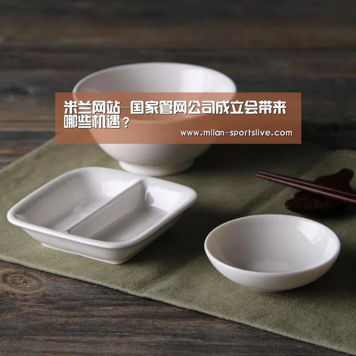 米兰网站-国家管网公司成立会带来哪些机遇?(图2) 米兰直播